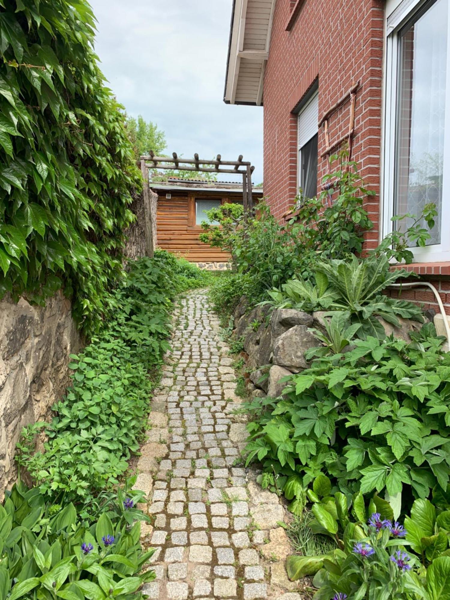 Ferienwohnung Poelkentor Quedlinburg Exteriör bild